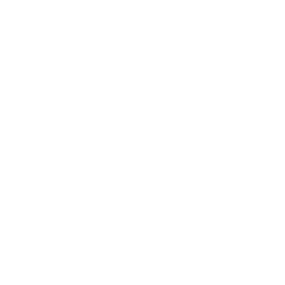 NXRT Icon - Configuration - white